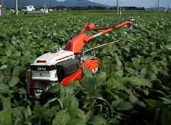 �V���Q�O��