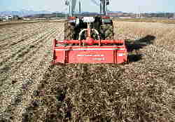 �H�N����