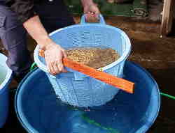 ���������������炢�􂢗����܂�