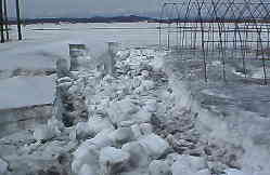 �܁[���A�܁[���Ⴊ����܂�