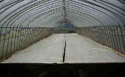 �����Ɖ肪�o�邩�Ȃ��B