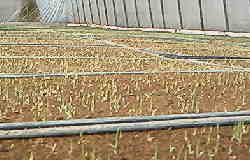 ����Ɖ肪�o��