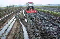 �Ǔy�݂����ɂȂ����Ⴄ��`