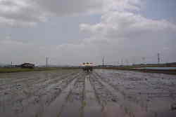 �����̂Ȃ��