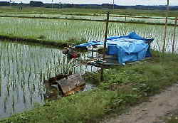 �G���W���t���Ƃ����ǂ��A���\�d�J��