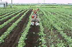 ���k�E�|�y