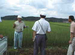 �����̓n������