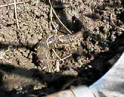 �y���甇���������h�W���E