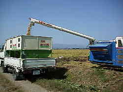 ���̓R���e�i��