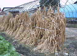 �V������