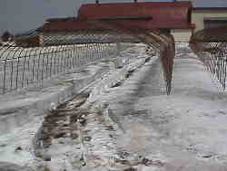 �S���ɓ����Ă��Ⴊ