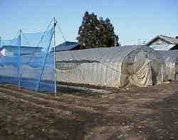 ��c�p�r�j�[���n�E�X