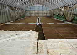 �r�j�[���n�E�X