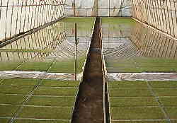 �Ⴂ�Ƃ���̓X�b�|�����̉�