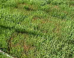 �͂�Ă�����