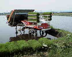 �c�A���ł�